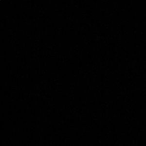 Meet your Posher, Nina